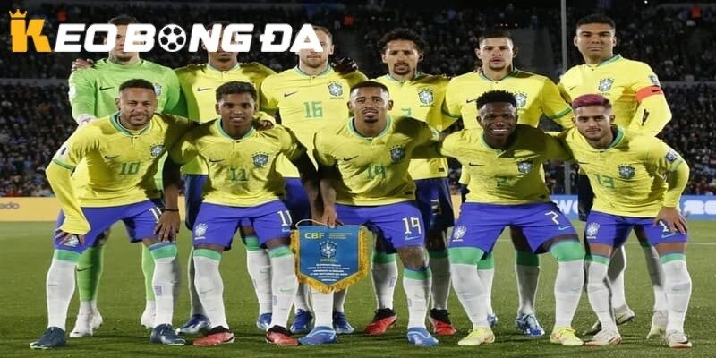Đội Hình Brazil World Cup 2026 – Dự Đoán Chi Tiết & Phân Tích Toàn Diện
