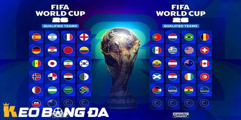 Phân Tích Đội Hình World Cup 2026: Xu Hướng, Chiến Thuật